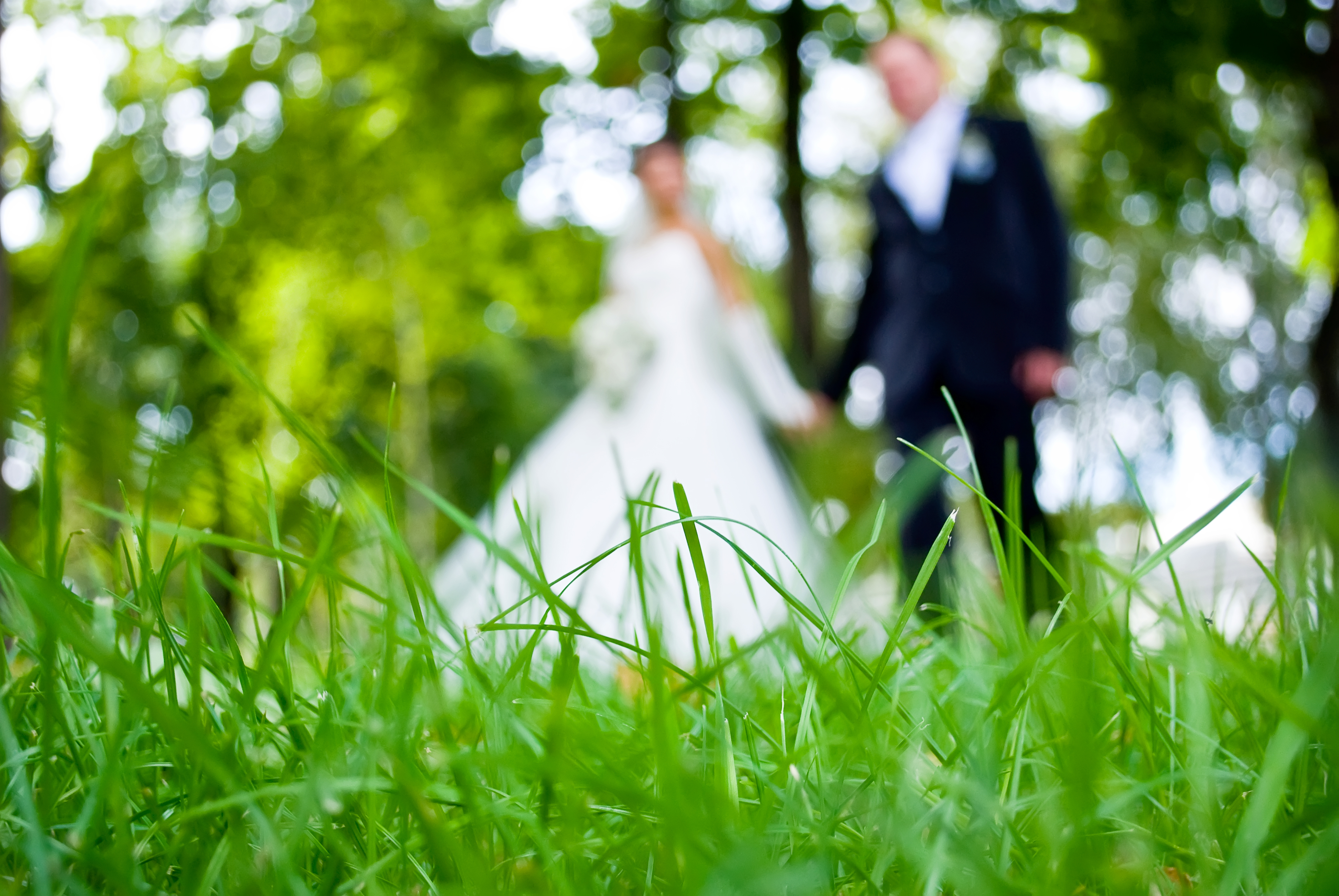 Wedding slowed. Свадьба на природе. Свадебный фон. Свадебная фотосессия. Жених и невеста.